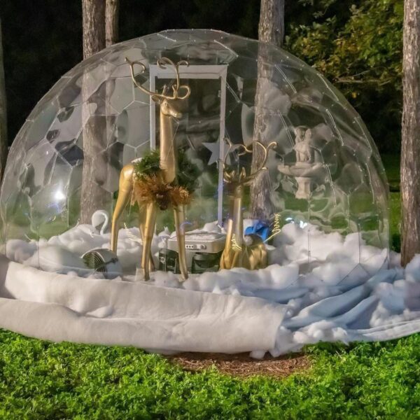 Solid Frameless Dome - Image 2